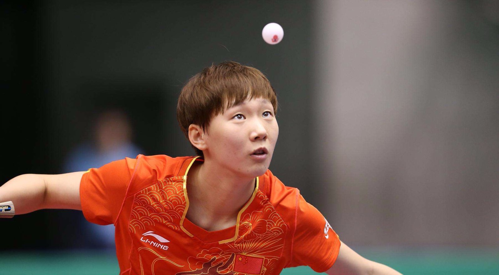 论不仅限于 论不仅限于